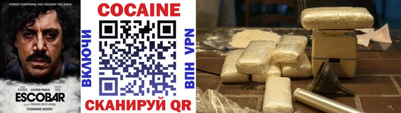 Кокаин Fish Scale  нарко площадка как зайти  Спасск-Рязанский  магазин продажи наркотиков 