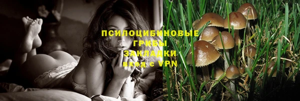 дурь Алексеевка