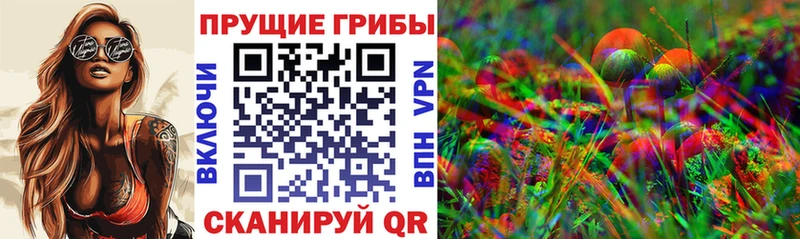 Псилоцибиновые грибы Psilocybine cubensis мега ССЫЛКА Спасск-Рязанский